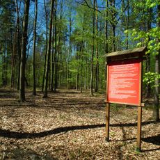 Nature reserve Bukowa Góra