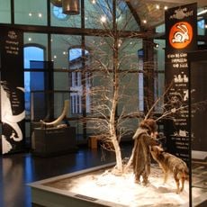 Museum of Prehistory