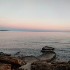 Arenella
