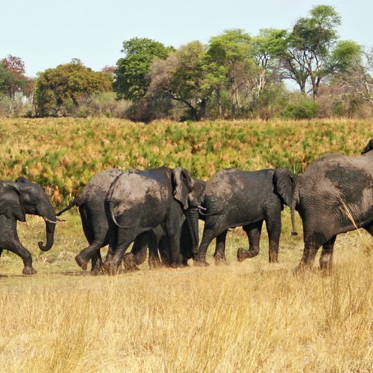 Parco nazionale del Bwabwata