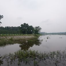 Situ Cisaat