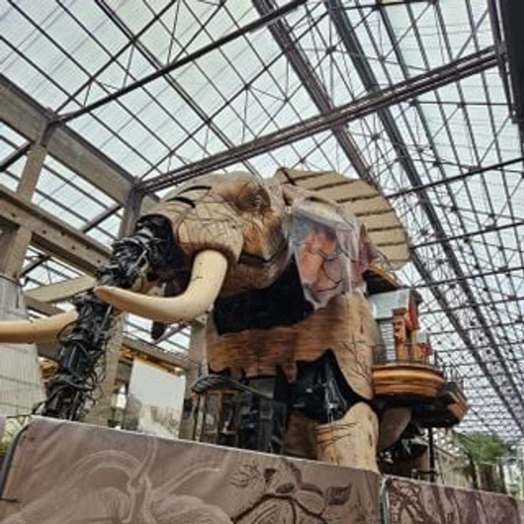 The Grand Elephant