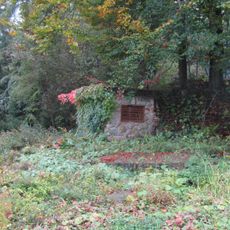 Forest park in Wisła