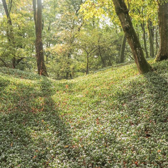 Cultural heritage D-5-6726-0009 in Wettringen
