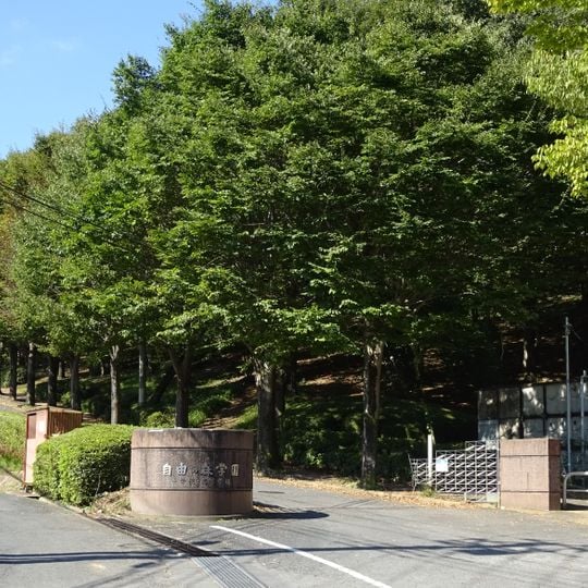 Freedom Forest Gakuen Junior et Lycée