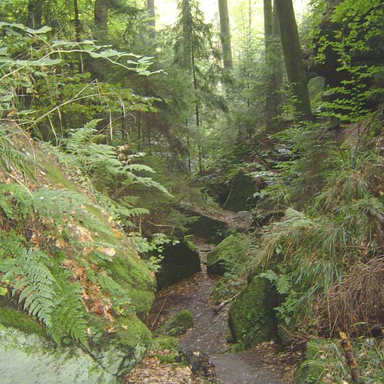 Teufelslochgraben N von Oberwaiz