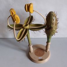 Botanical Museum Greifswald