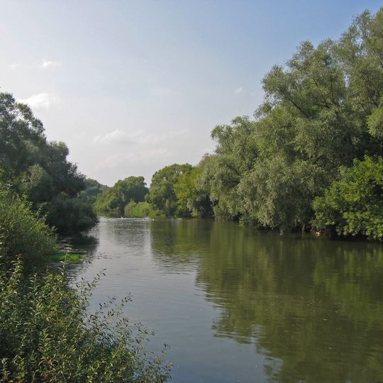 Protva
