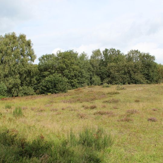 Eispohl, Sandwehen und Heideweiher