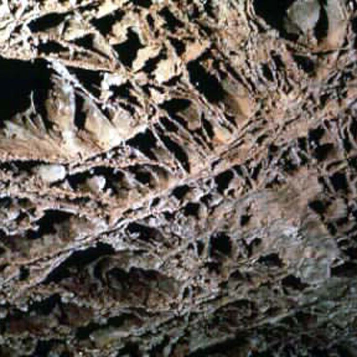 Park Narodowy Wind Cave