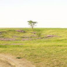 Іллюхівський заказник
