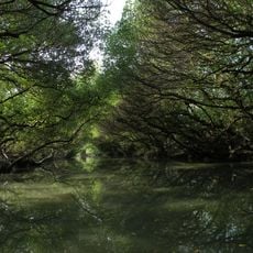 Parc national de Taijiang