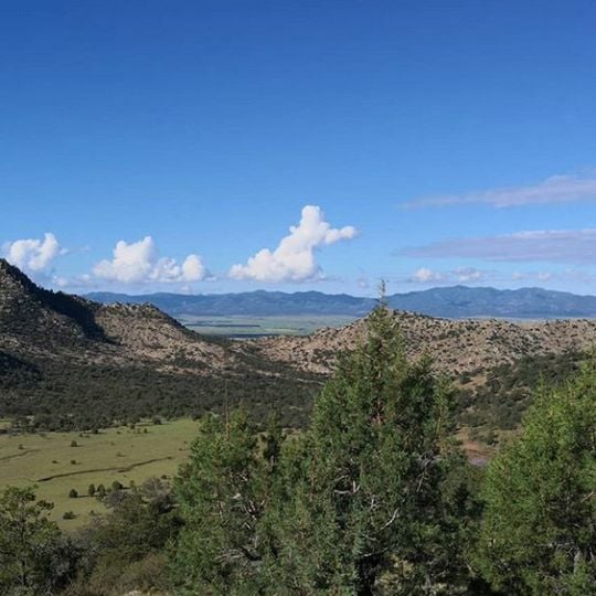 Bachíniva Municipality