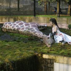 Halfautomatische Troostmachine