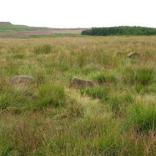 Field system and stone circle on Rabbit Warren, 1150m south east of Park Farm