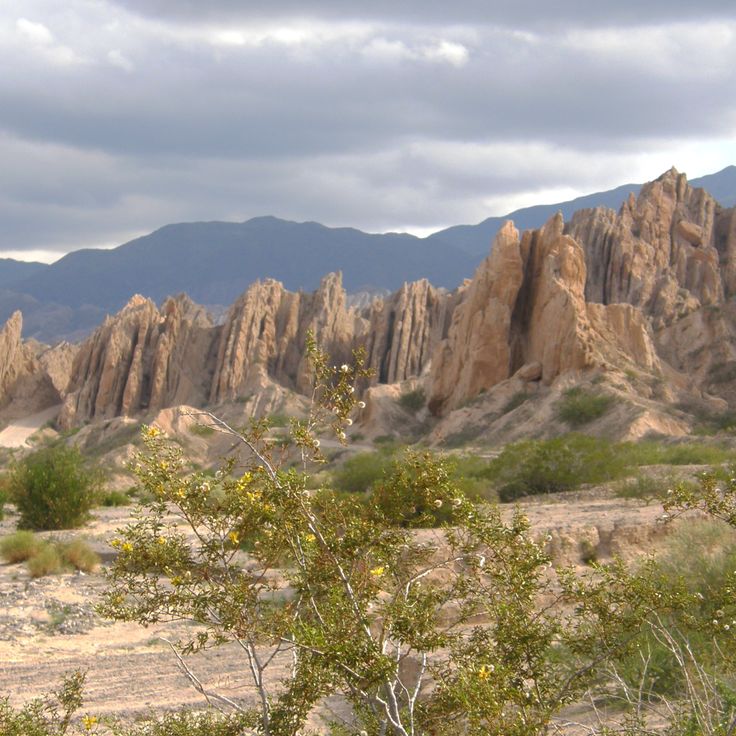 Area Naturale Angastaco