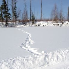 Riserva naturale della Tunguska