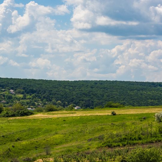 Pohrebeni landscape reserve