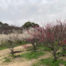 Sori Greenery and Fureai Park