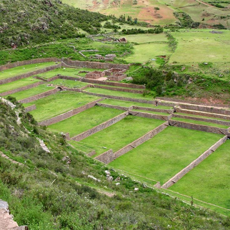 Tipón