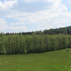Buchen- und Bruchwälder bei Einsiedelei und Apollmicke