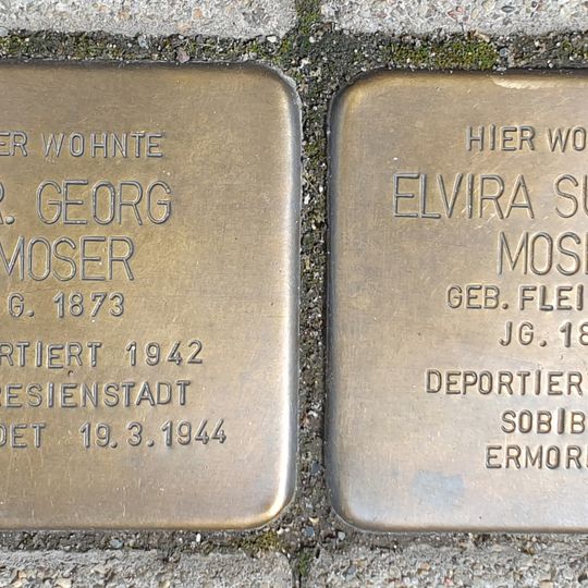 Stolperstein en memoria de Elvira Moser