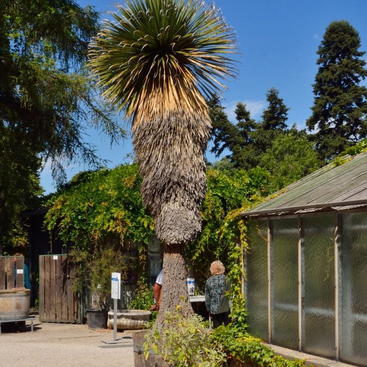 Jardin botanique de l'Université de Vienne