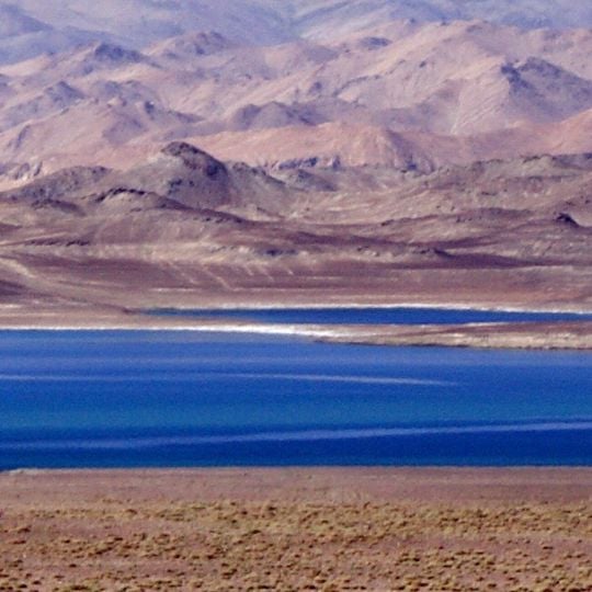 Kara-kul
