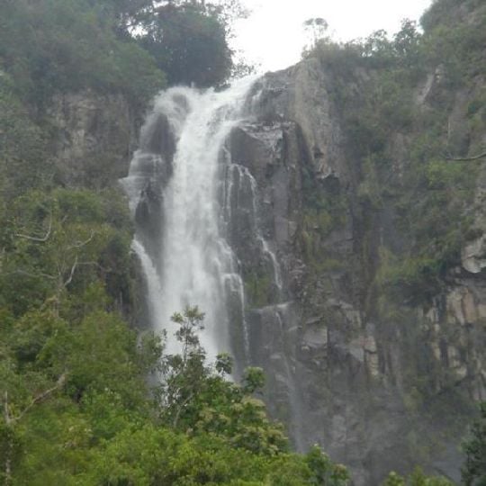 Pagaibamba Protection Forest