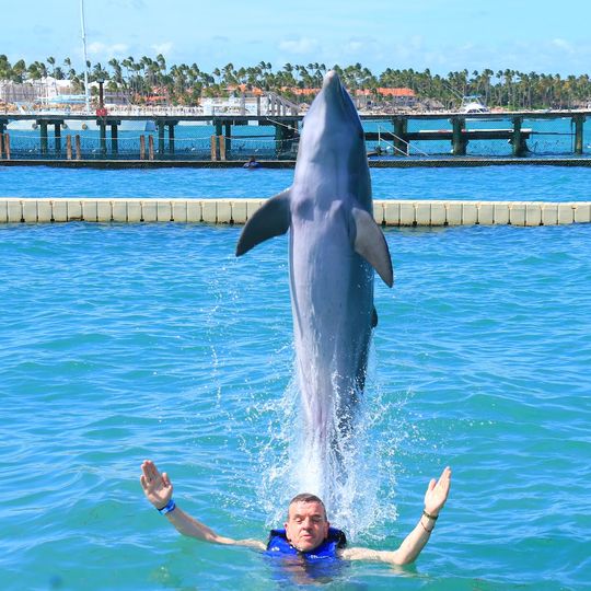 Exploracion de Delfin