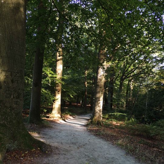 Fogelsangh State, tuin en park