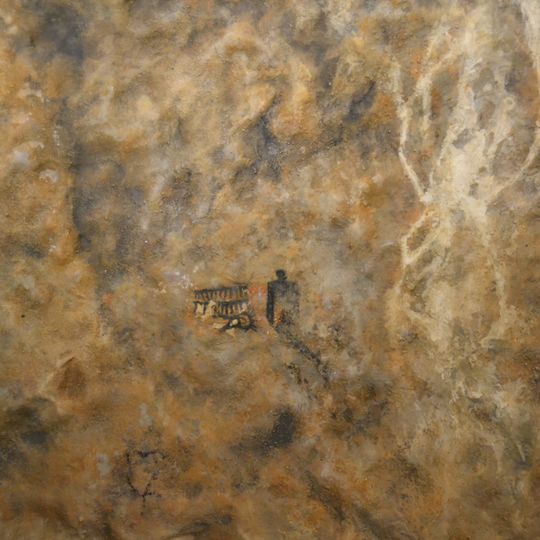 Cova del Barranc del Migdia