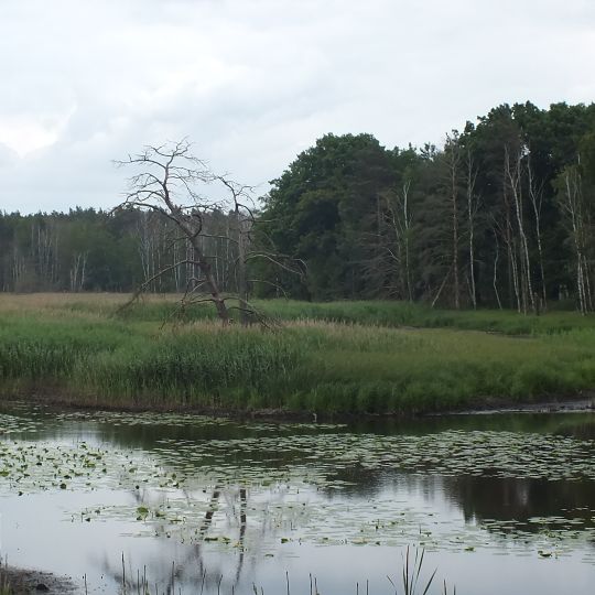 Alte Elster und Rohrbornwiesen bei Premsendorf