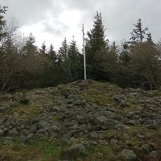 Tête des Faux