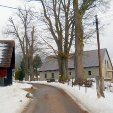 Památné stromy v Rybné nad Zdobnicí