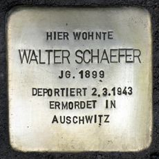 Walter Schaefer