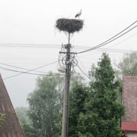 Nowa Wieś (Frydlant nad Ostrawicą)