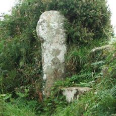 Brane Cross