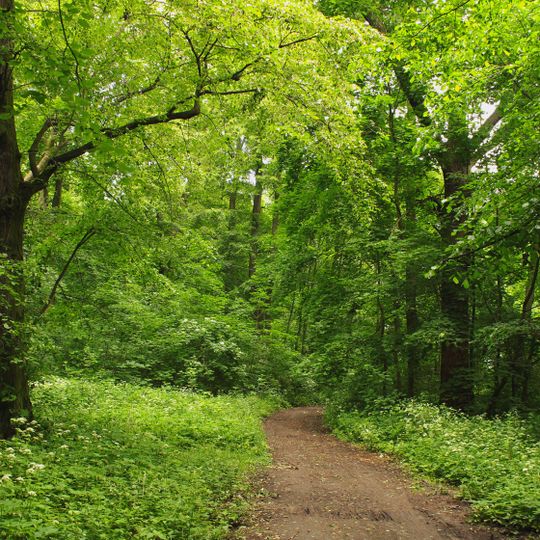 Ustków, Łódź Voivodeship