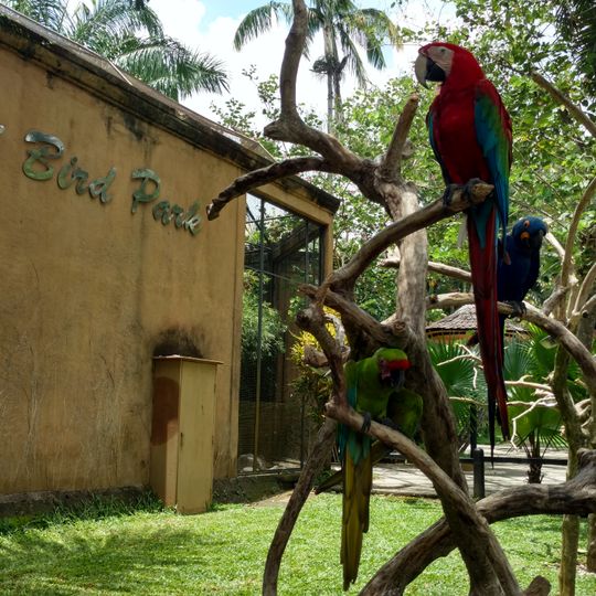 Bali Bird Park
