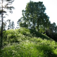 Alt-Laari linnamägi