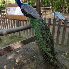 La Pêcherie d'Aurit