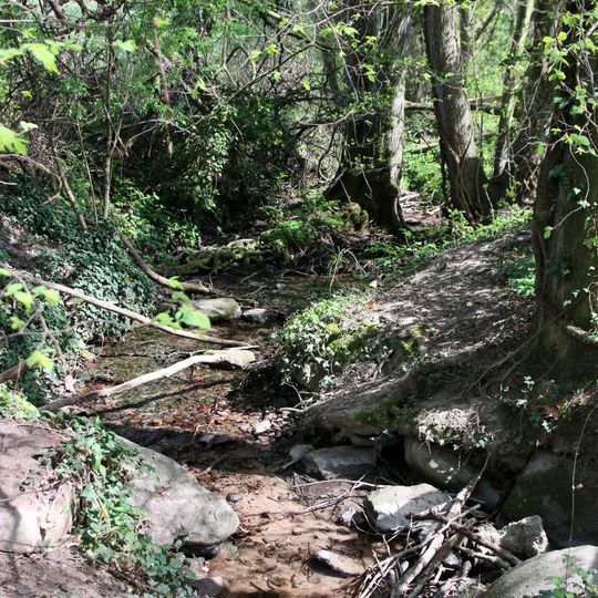 Waldteil bei der Lochmühle