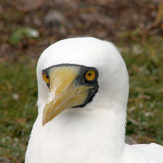 Northumberland Islands National Park