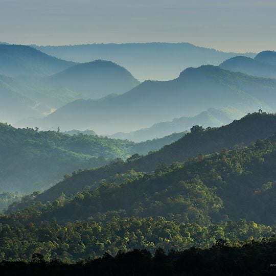 Phu Khiao wildlife sanctuary