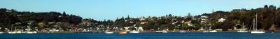 Panoramic View 1