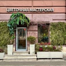 Ромашки