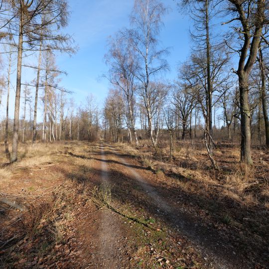 Stärtchen und Freibusch