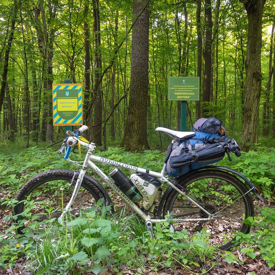 Eichenwald Schmerynka