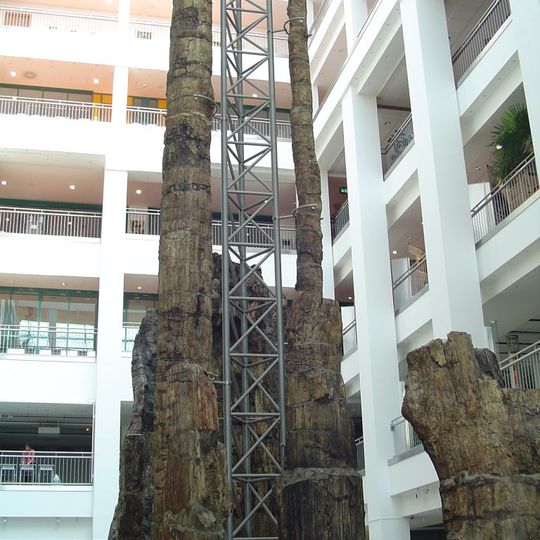 Museum of Natural History Chemnitz